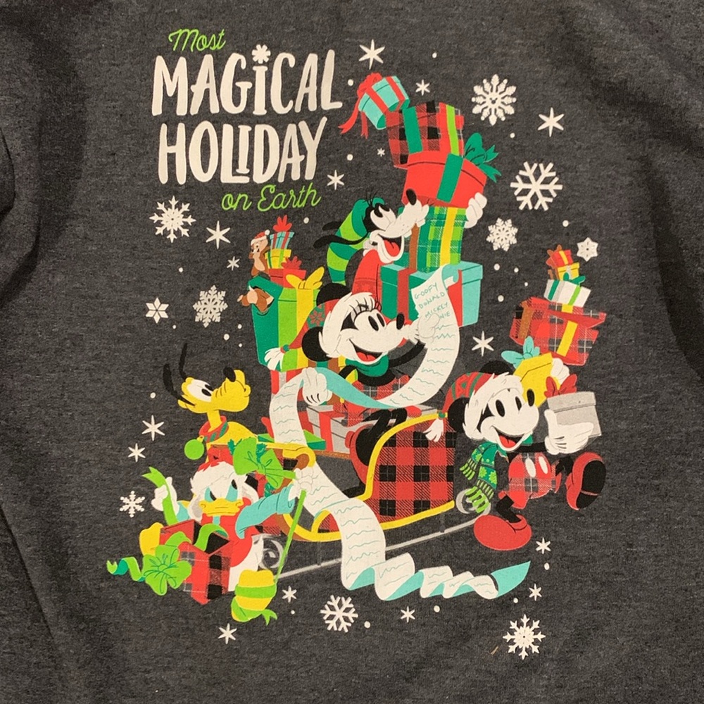 Walt Disney World Disney Parks Authentic Original Holiday Hoodie Small